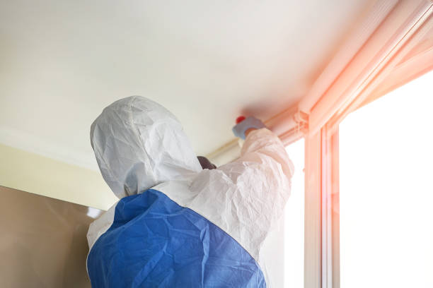 Best Environmental Consulting for Mold Prevention  in South Hutchinson, KS